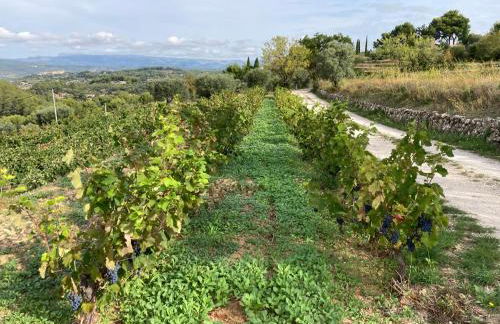 Castel'lodge - Foto 44