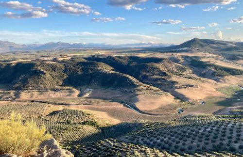 Dehesilla Olive Orchard Retreat - Foto 19