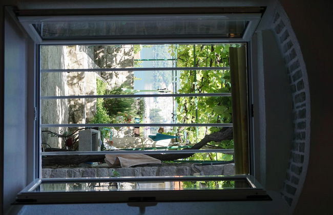 Guesthouse Dragutinovic - Foto 8