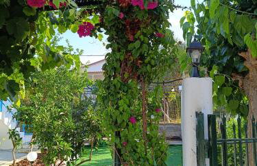 Oropos Relax View - Foto 49