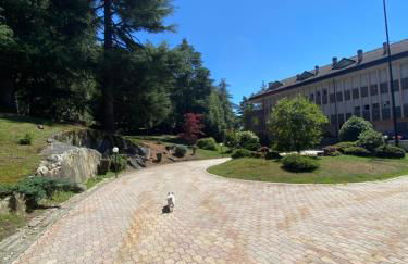 Appartamento Bianca - Foto 8