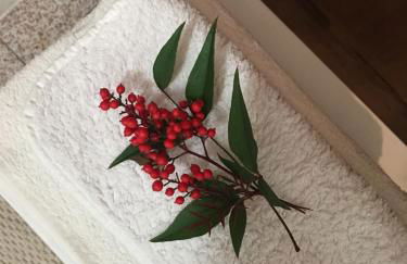 Casa al Riccio - Foto 23