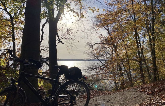 Kugelhaus Tamika - Sauna, Whirlpoolwanne und Kamin am Tollensesee - Foto 23