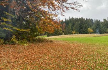 Apartament w górach Gorce - Foto 30