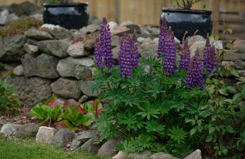 Barclay’s But n Ben - Foto 42