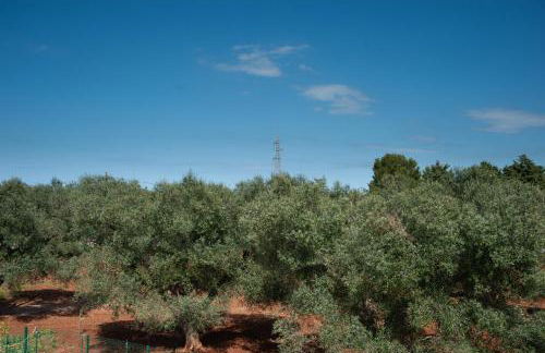 Virginia Country house - Foto 60