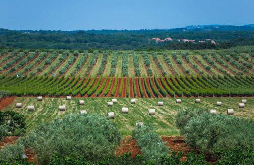 Villa Sunset with sea view for 6 persons near Novigrad - Foto 15