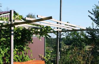 Pod Modrzewiem - Foto 24