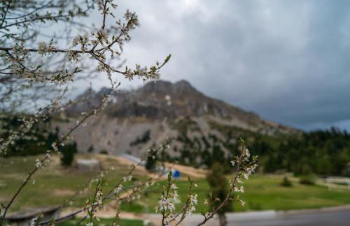 Sylvia's Pramanta Villas - Photo 16