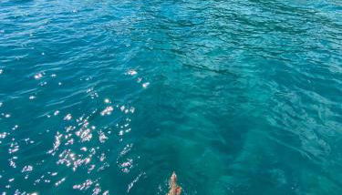 Casa Natalina a 30 metri spiaggia - Foto 2