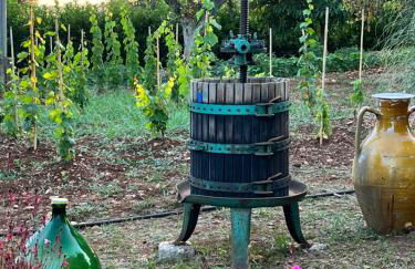 Trullo in vigna - Foto 40