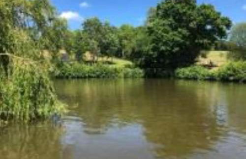 Snug & Secluded Lakeside Shepherds Hut 'Carp' - Foto 15