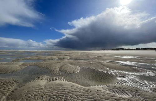 Lüttje Bernstein - Foto 24