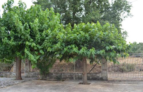 Gaia Messinian Villa - Foto 23