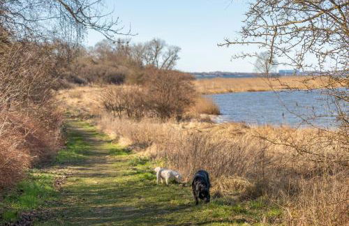 Ferienhaus vor Rügen - Foto 17