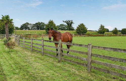 Cedar Lodge - Foto 13