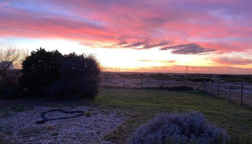 Charming original fishermans cottage on Dungeness beach - Foto 4, Garden