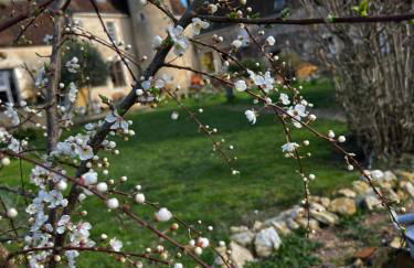 Manoir de La Barre Ceton - Foto 23