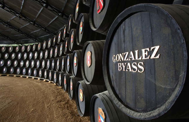 Visite de la cave Tío Pepe - Photo 2