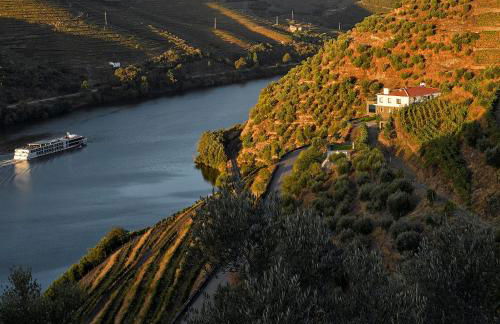 Quinta da Marka - Foto 6