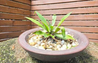 100mts beach Ribeirão da Ilha c Espaço Gourmet - Foto 67