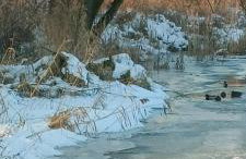 Oaza spokoju - Walendów - Foto 40