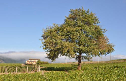 Gite le Pot de Vin - Foto 17