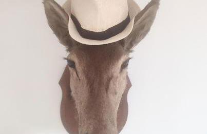 Appartement exceptionnel Bastide St Louis - Foto 20