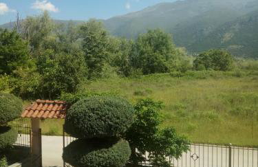 Zisis Garden Studios - Photo 55