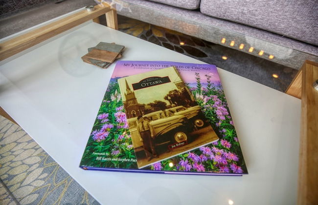 Gossamer Breeze - Photo 14