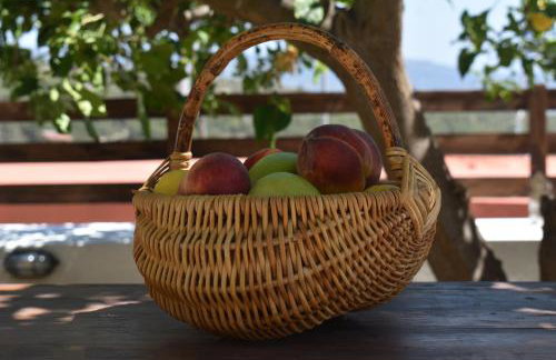 Lithos House - Foto 40