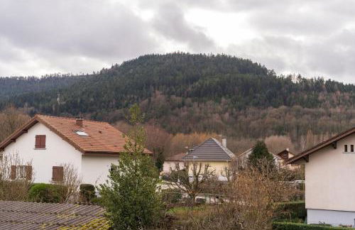 Charmant appartement Vosgien centre Saint Dié, proche montagnes - Foto 18