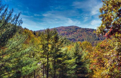 Fire Pit, Grill, and Views Cashiers Getaway! - Foto 33