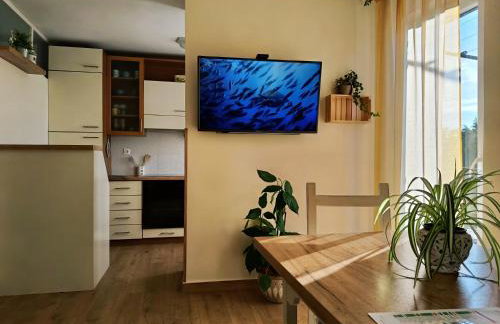 Apartman Doris - Foto 10