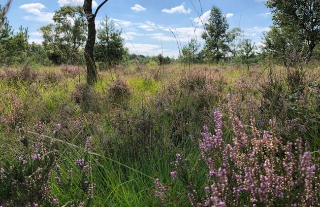 Restyled Holiday Home, on a Holiday Park at 20 km. From Nordhorn - Foto 22