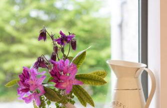 The Old Cider House - Photo 12