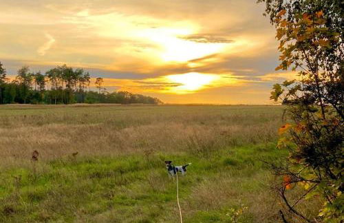 Flämingpanorama - Ländliches Gartenhaus mit Kamin und Naturpanorama - Photo 60