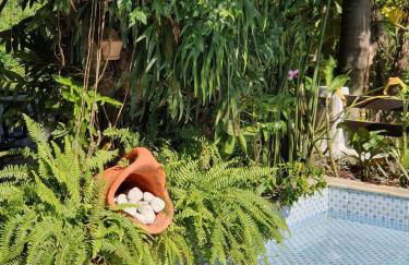 Andorinhas "Mini casa de hóspede" - Foto 6