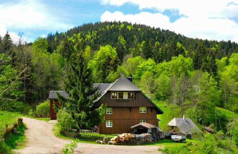 Ferienhaus Hinterzarten - Foto 1