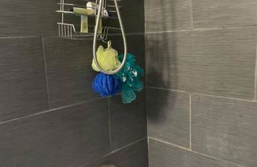 Belle Isle Cottage - 1905 Historic Home near city - Foto 9