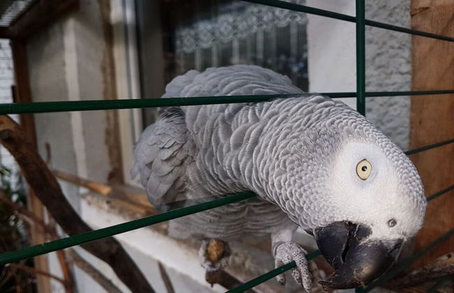 A. Heyne Modern Retreat - Foto 13