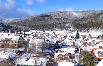 Ferienwohnung Tannenballett im Schwarzwald - Foto 60