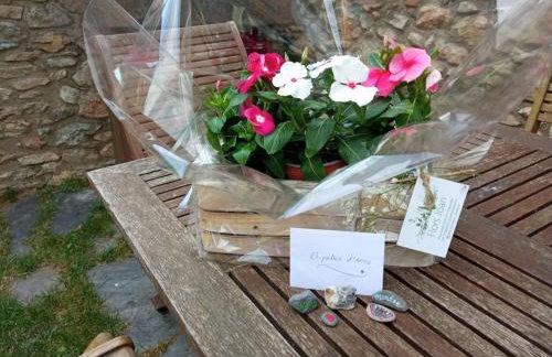 El Paller Urús Cerdanya - Foto 30