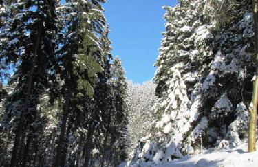 Bungalow Schwarzatalblick in Bad Blankenburg Ortsteil Böhlscheiben - Foto 68