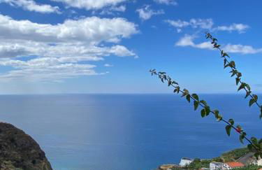 Pana House - Photo 17