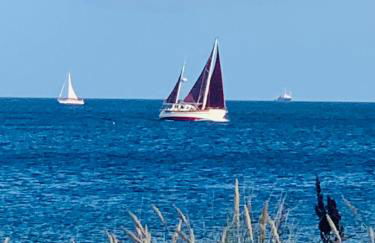 SeeLund - Meeresrauschen lauschen - ruhiges sonniges Apartment mit Garten und Terrasse nahe Strand und Ostsee - Foto 41