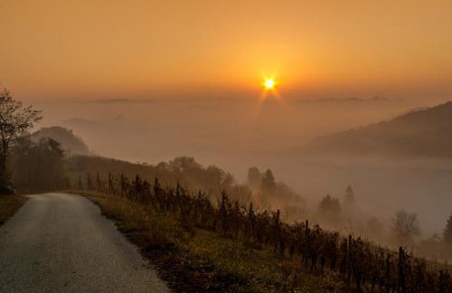 Apartman Dada - Foto 50