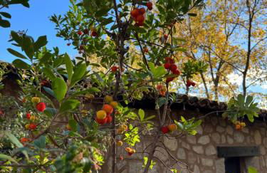 El Roble, casitas rurales - Foto 47