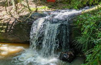 Quintal do Garnizé - Unidade Beija-Flor - Foto 20