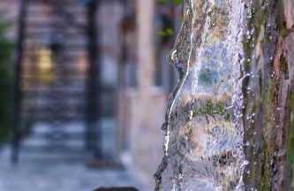 Montanema Handmade Village - Photo 107